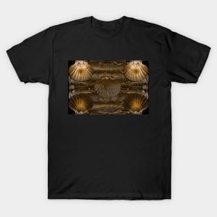 Scallop Shells Background T-Shirt